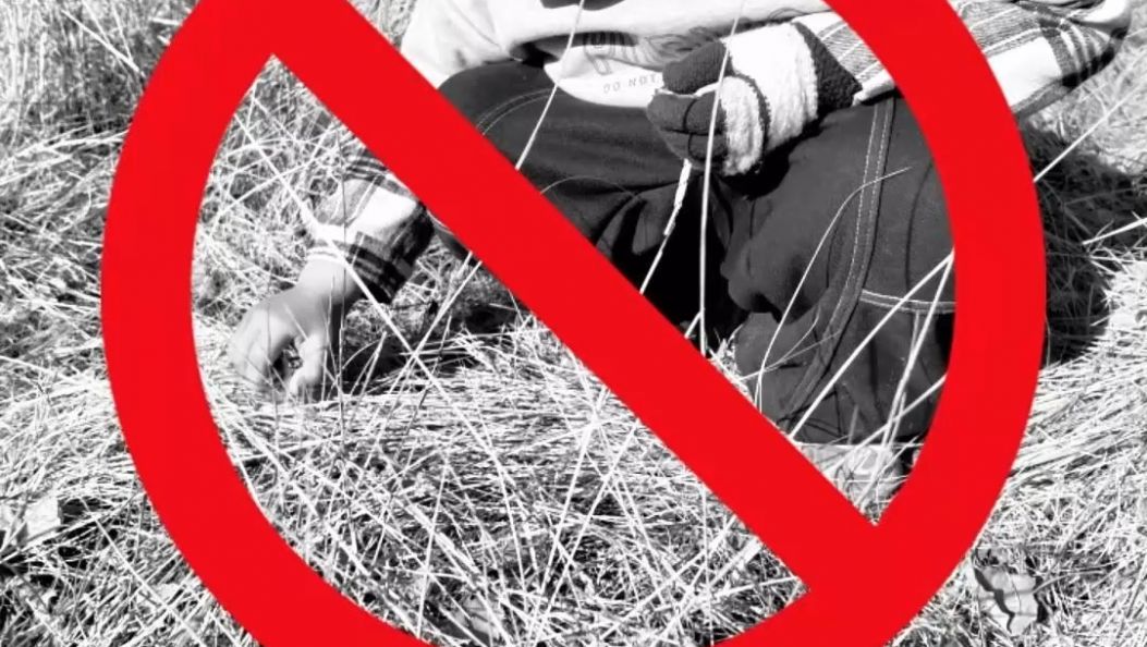 [傣语]假期很美好 安全最重要！