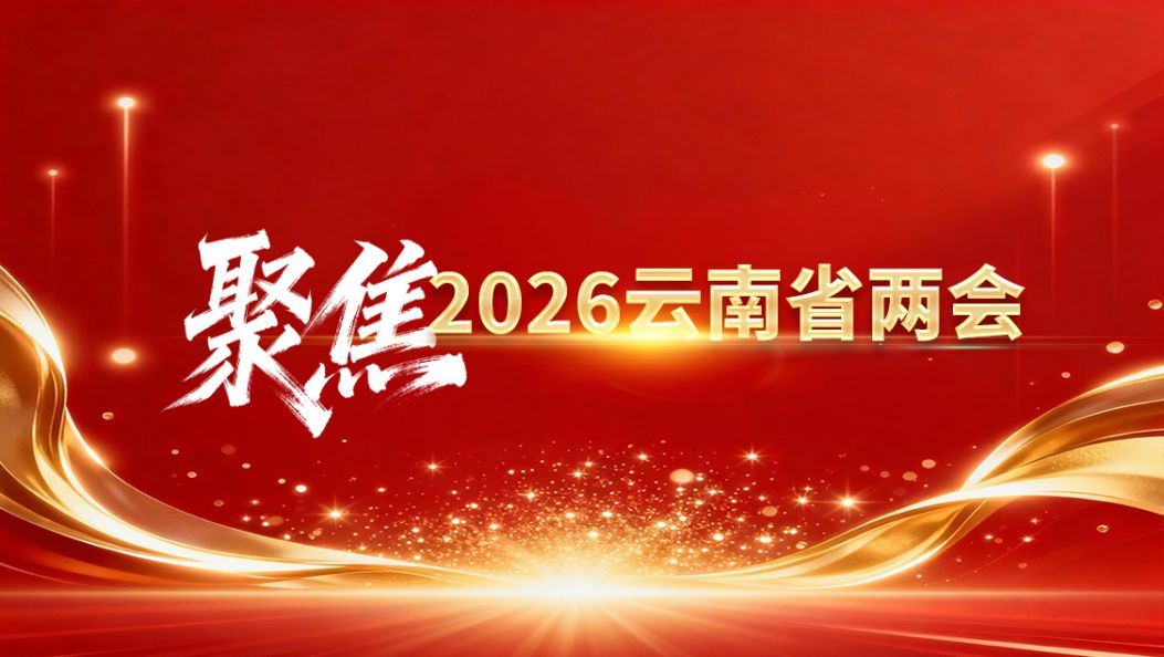 凝心聚力共谱云岭现代化建设新篇章——省政协常委会2025年亮点工作综述