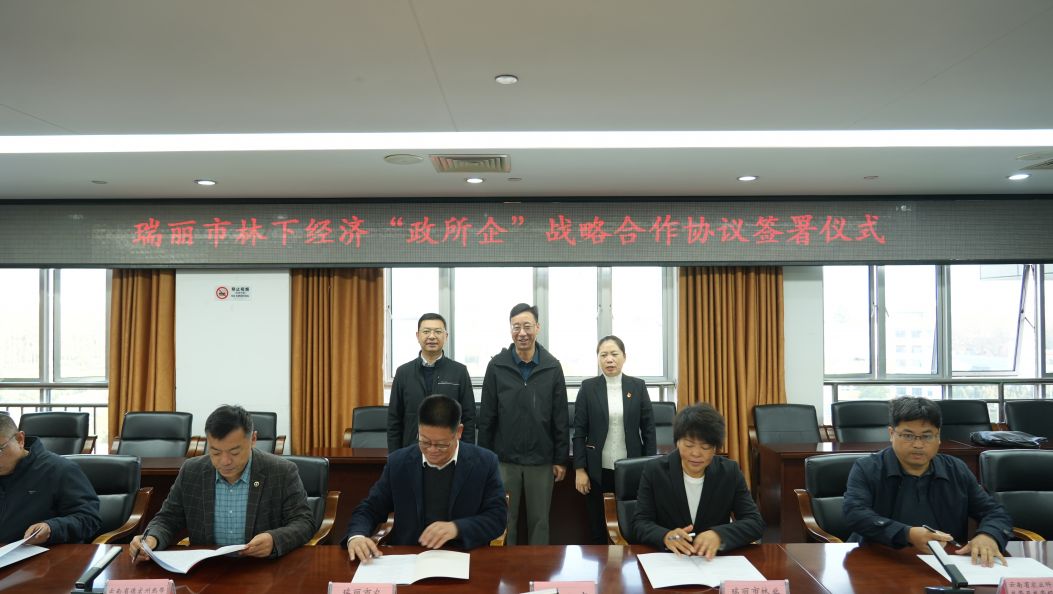 瑞丽：“政所企”携手共建林下经济高质量发展新格局