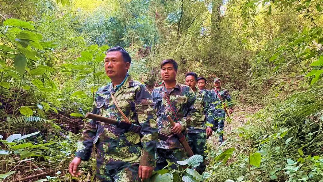 守青山不改初心 护绿脉自有回响——记云南省“十佳生态护林员”栋顺林