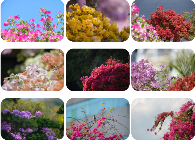 1771037274560073.png 微信图片_20260214104148_739_23.png