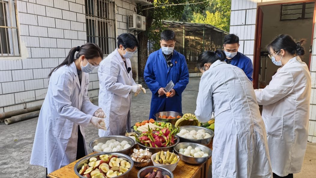 新春走基层|一桌特殊的“年夜饭”     495只“落难”生灵共享“团圆”滋味