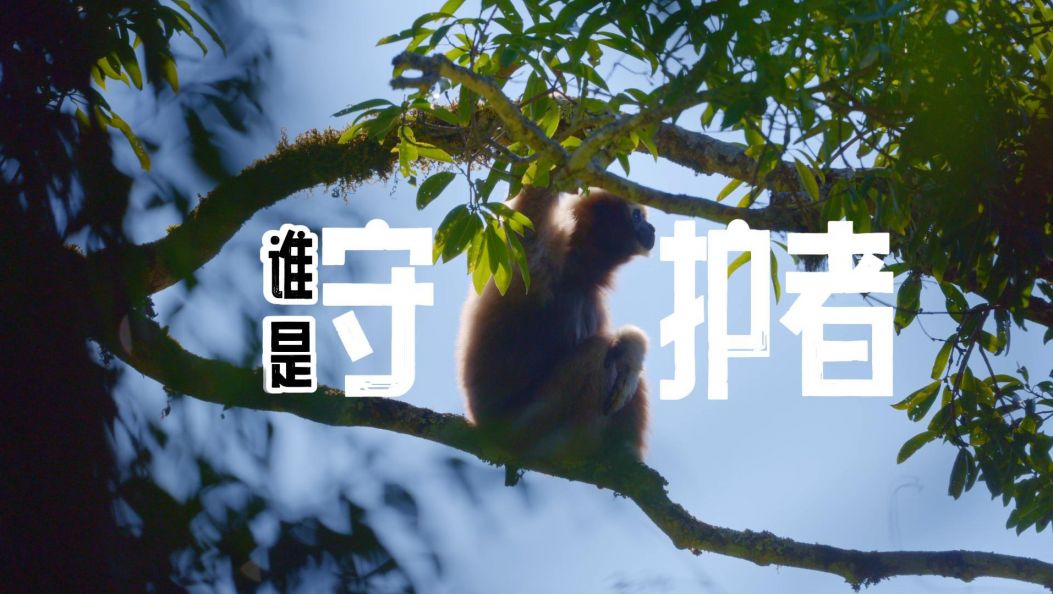 新春走基层｜谁是“守护者”？