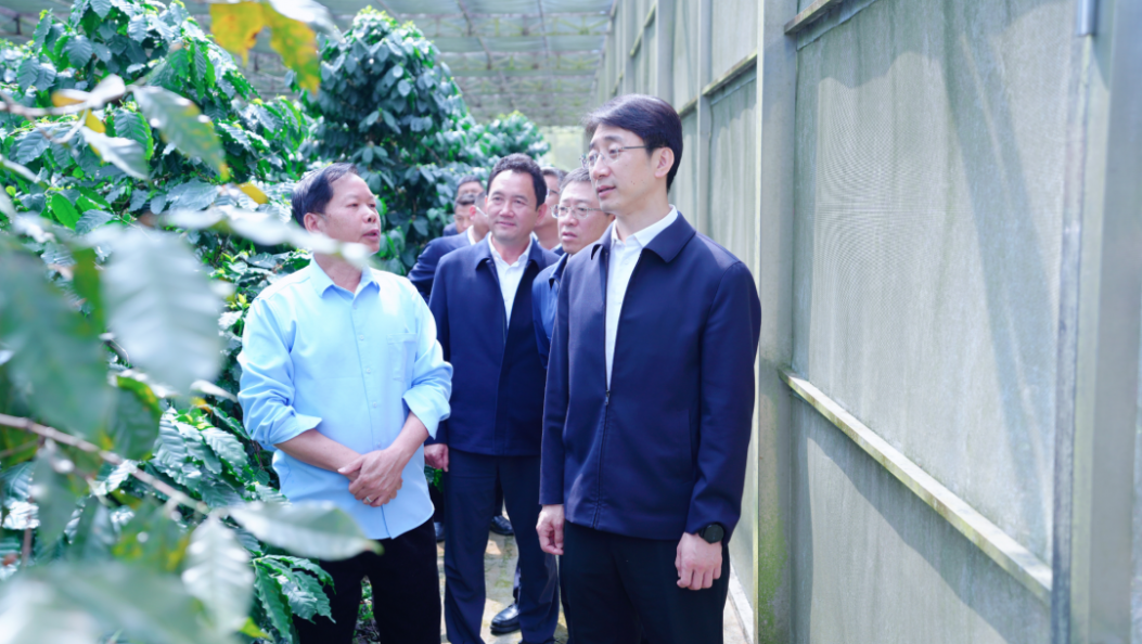 王云霏调研咖啡产业、农业农村工作时强调：扬优势补短板 推动全州农业农村工作高质量发展
