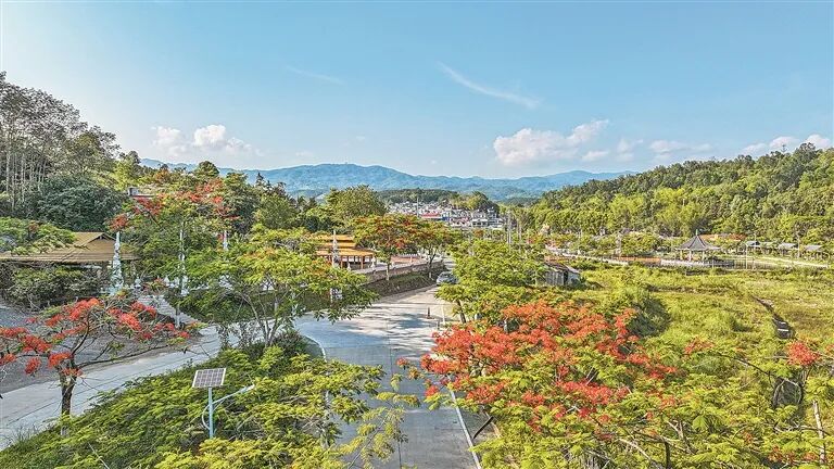 树立和践行正确政绩观 | 蝶变边寨 瑞丽新韵