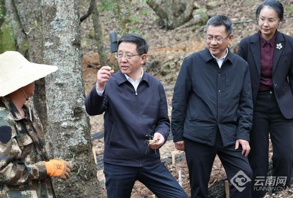 王予波在楚雄州调研时强调：大抓改革创新 大抓比较优势 大抓项目攻坚 大抓企业引培