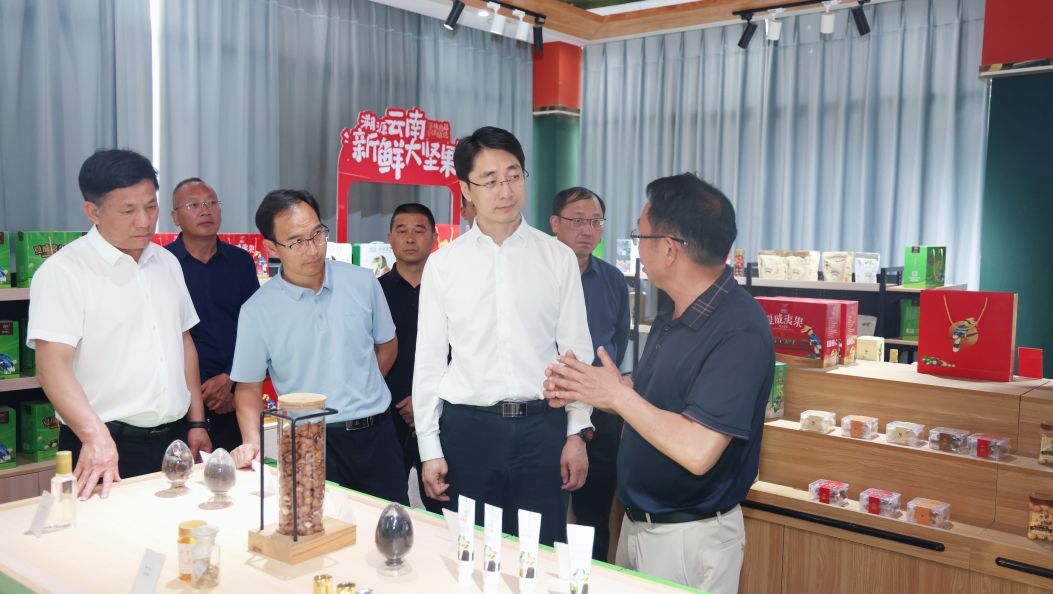 王云霏在盈江县调研时强调：抓项目 兴产业 促增收 持续保持经济发展向好态势
