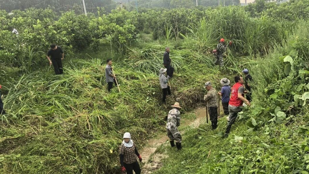 瑞丽多部门联合开展南涧河清河行动