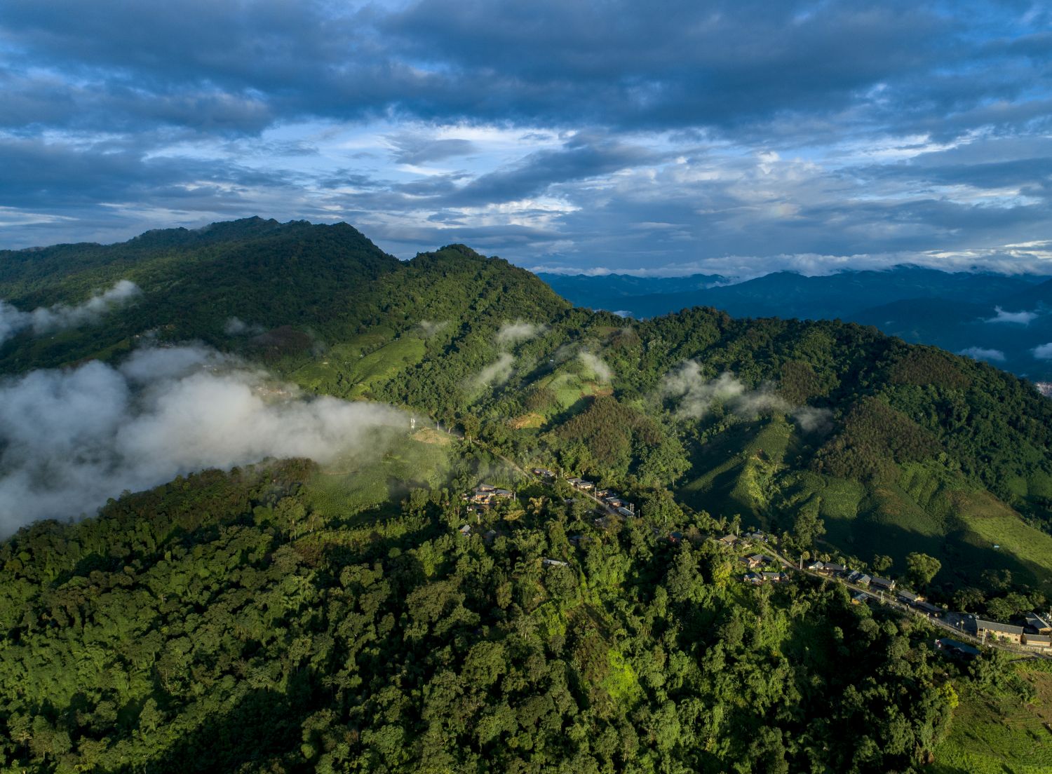 护鸟牌怎么写中国首次中缅边境农民生态安全摄影展：从猎人到摄影师的生态觉醒_https://www.jmylbn.com_新闻资讯_第12张