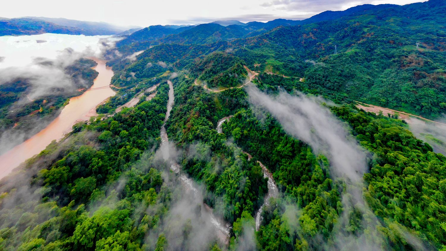 护鸟牌怎么写中国首次中缅边境农民生态安全摄影展：从猎人到摄影师的生态觉醒_https://www.jmylbn.com_新闻资讯_第2张