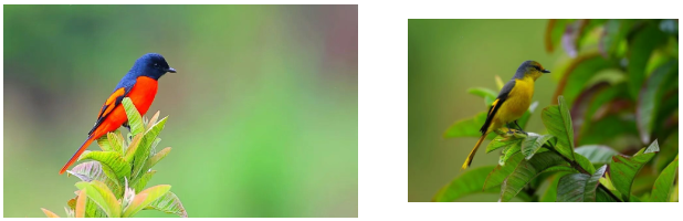 微信图片_20260430101417_967_23.png