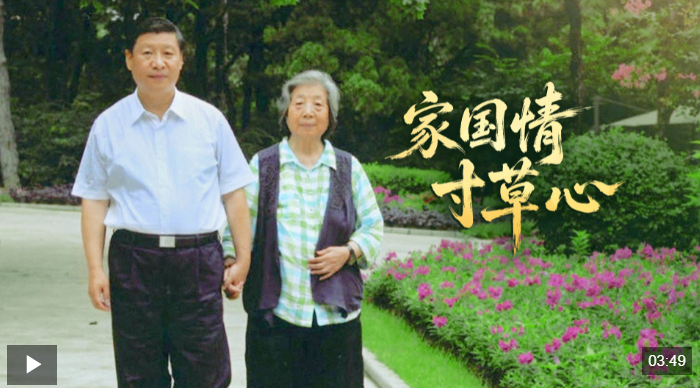 时政微视频丨家国情 寸草心