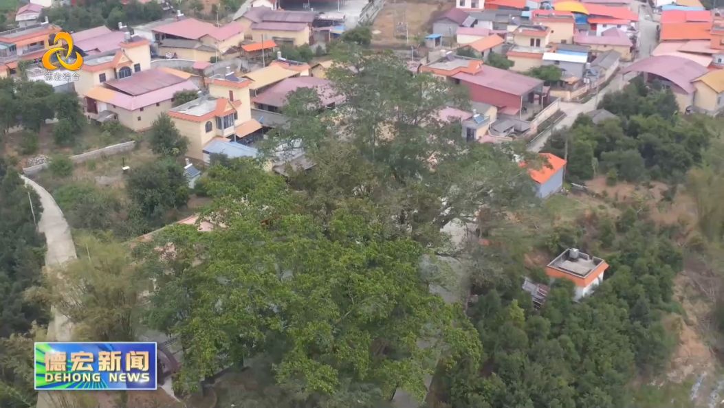 景-德宏新闻26-0504