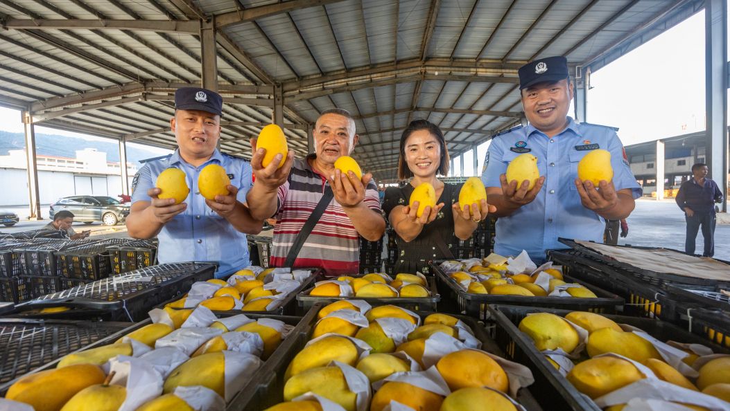 缅甸圣德龙芒果经畹町口岸“快车道”入境
