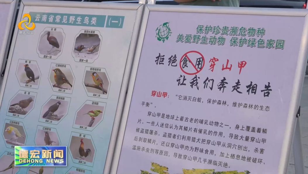 景-德宏新闻26-0529