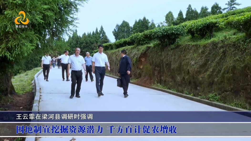 傣语：王云霏在梁河县调研时强调 因地制宜挖掘资源潜力 千方百计促农增收