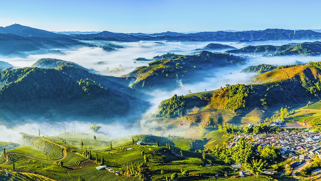 ​一座城，因​旅居而焕新 ​一群人，因普洱而停留