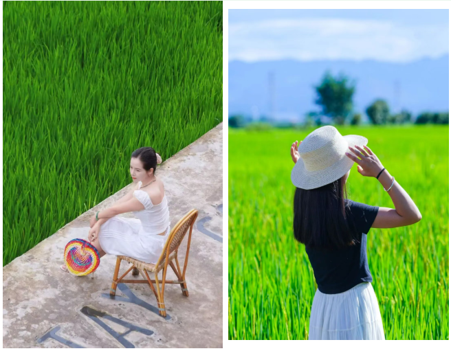 微信图片_20260803095106_1262_23.png