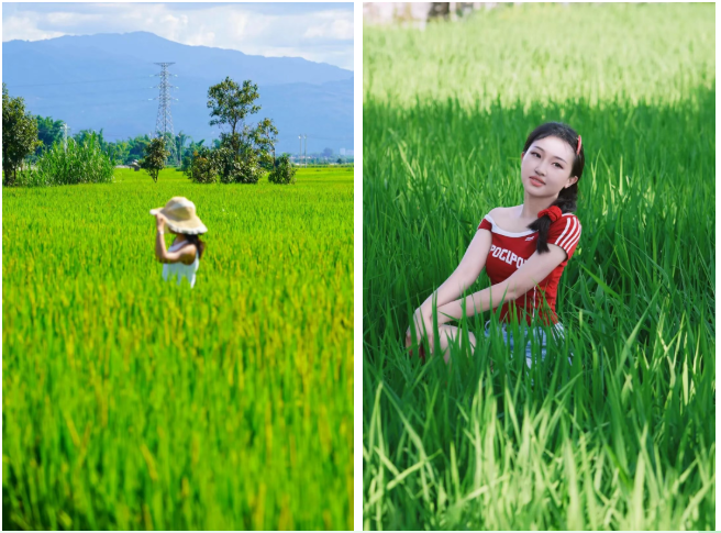 微信图片_20260803095039_1260_23.png