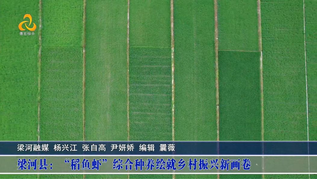 梁河县：“稻鱼虾”综合种养绘就乡村振兴新画卷