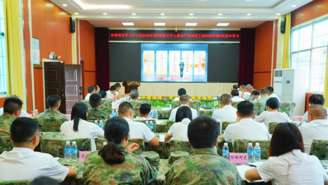 芒市委理论学习中心组集中学习
