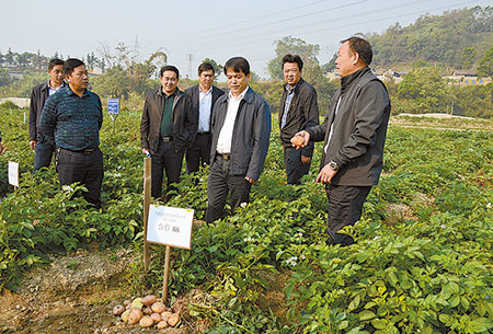 全州农业（畜牧）局长会：全力推进德宏高原特色农业现代化建设