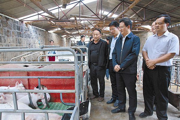 多措并举 全力推进扶贫工作纵深发展