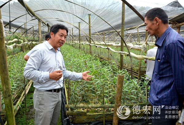 瑞丰农业科技有限公司组织石斛管育现场观摩会