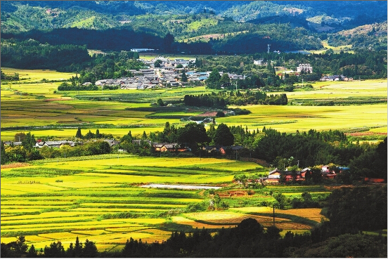 德宏：产业腾飞筑新梦