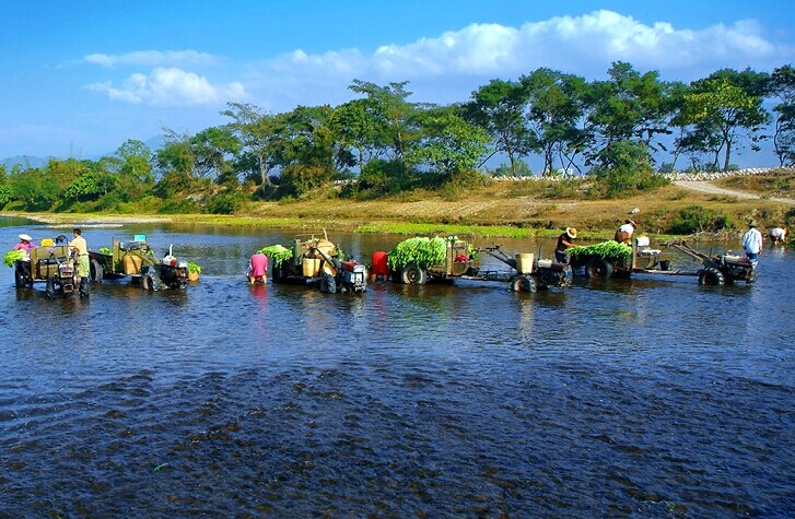 云南主流媒体采访团走进德宏探究生态文明秘诀
