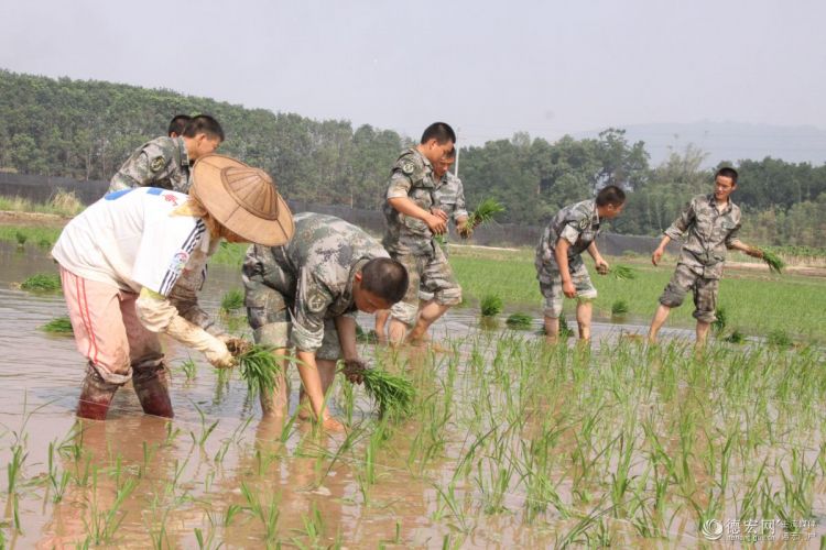 德宏州双拥工作推进会召开