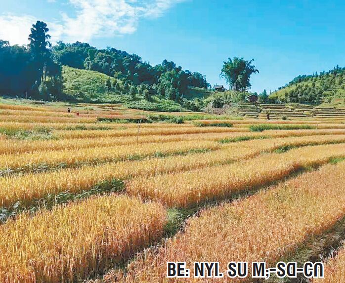 li-su Vo: go x lA. （1）