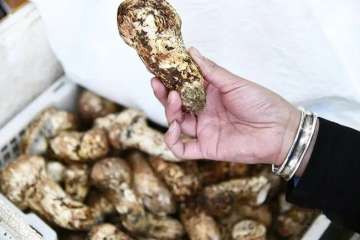 云南将打造又一个千亿级产业！德宏涉及这些县市