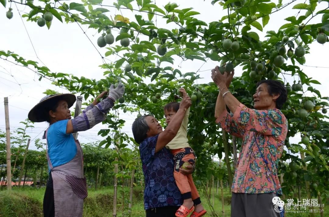 5年投入8000余万元，瑞丽市24339移民人口受益