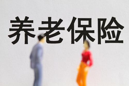 德宏计生、养老保险工作再上新台阶