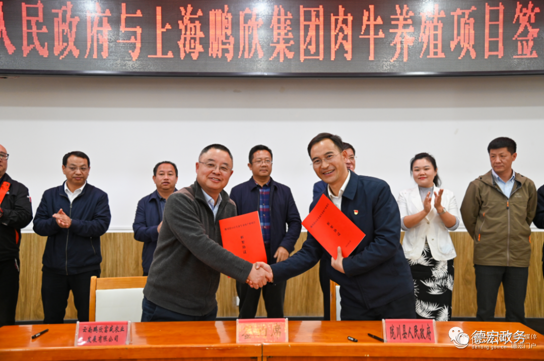 总投资30亿元！10万头肉牛养殖产业项目落地陇川