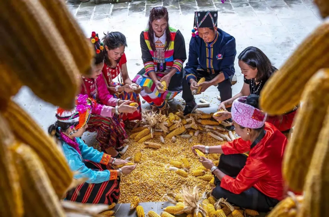 委员热议：让民族团结进步之花常开长盛