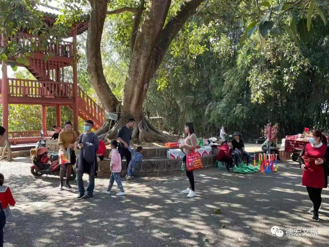 春节假期，42.32万人次来德宏“打卡”！