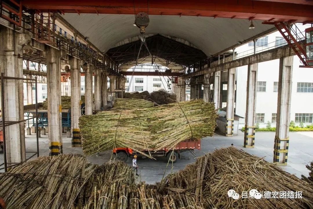甜蜜生活“节节高”