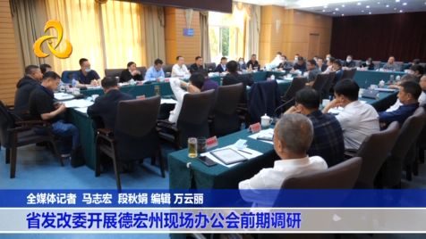 【视频】云南省发改委开展德宏州现场办公会前期调研