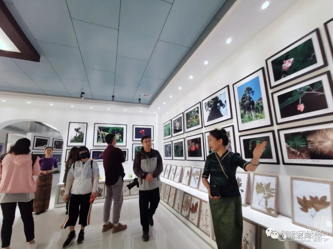 啥事？一大波央媒、省媒来德宏……