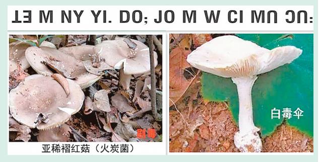 w: ci mU CU: to< l m tA< r mo m bA pL