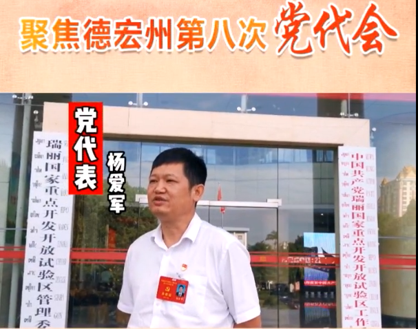 【代表风采】党代表杨爱军：疫情防控和经济工作，两手都要抓，两手都要硬