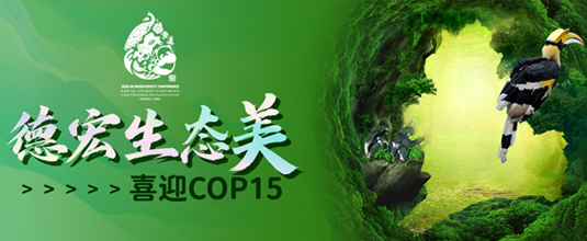德宏生态美  喜迎COP15