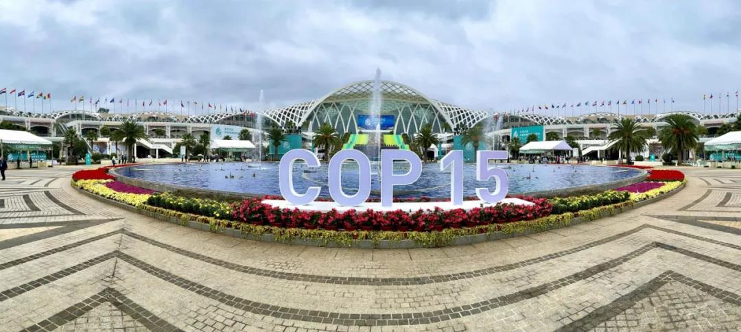 COP15大会，为何全球瞩目？
