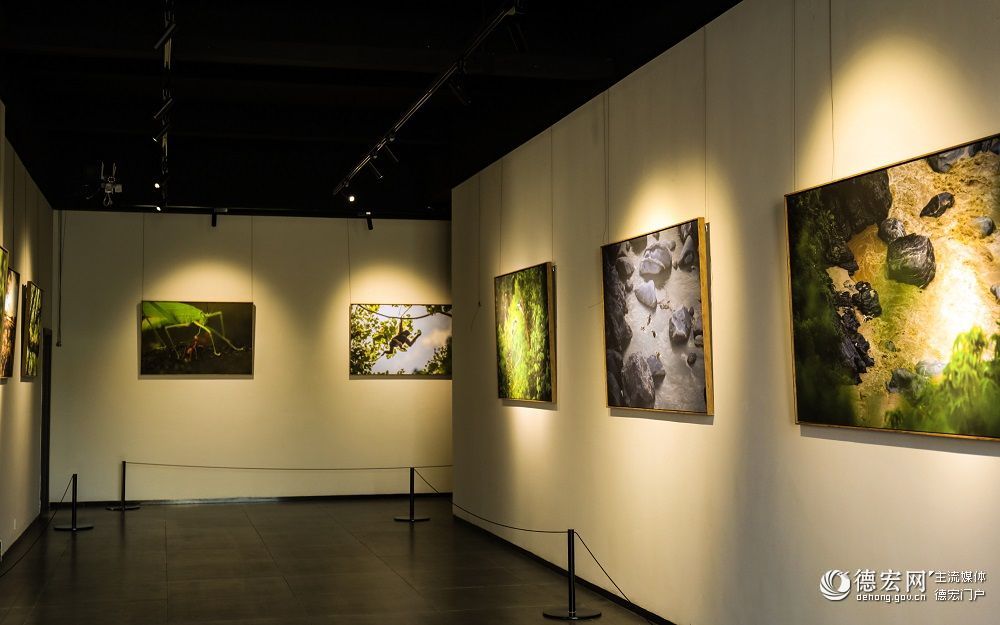 高质量摄影展、文艺作品齐发力，呈现德宏生态美