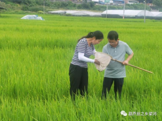 【效能革命】抓实技术服务  赋能产业振兴