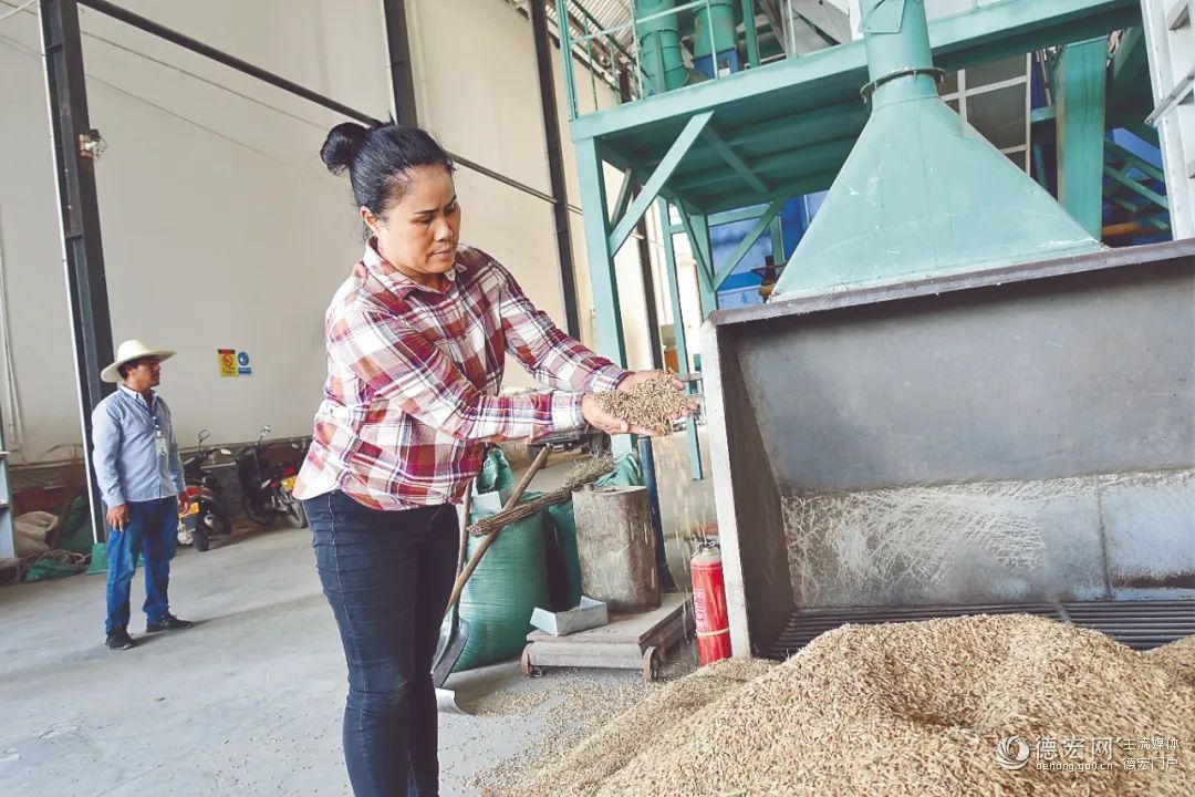 【二十大代表风采】线小晃：带领乡亲们奔跑在致富路上