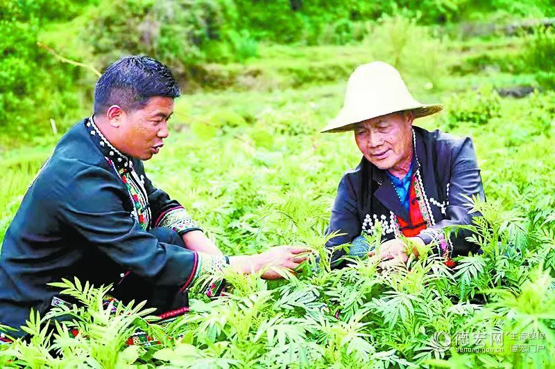 【云南出席党的二十大代表风采】赵家清：只为幸福佤村更幸福