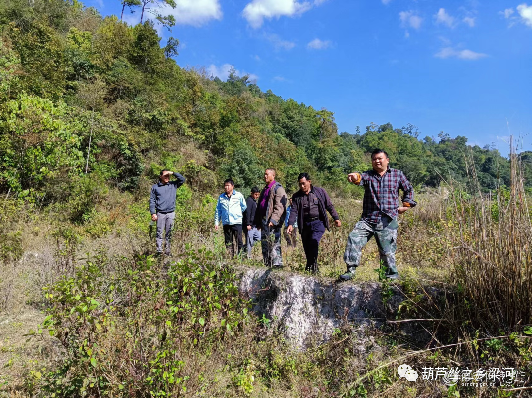 【效能革命】勐养镇：践行“三个工作法”、落实“九个结合”，共助甜蜜事业高质量发展